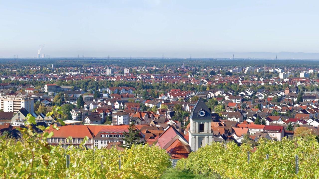 Grosse Ferienwohnung, Apartment In Leimen Wehome Komfort Zewnętrze zdjęcie